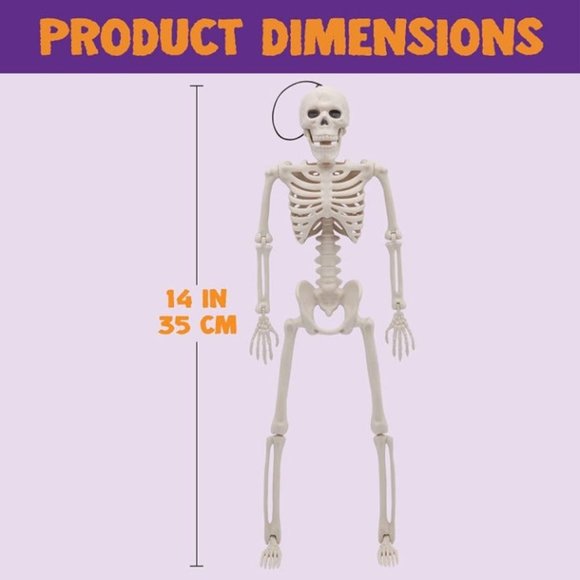2 Packs 16" Posable Halloween Skeletons, Full Body Posable Joints Skeletons - Picture 2 of 8